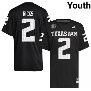 Aggies Black #2 Dezz Ricks Youth Authentic SEC Player Pro-Stitched Football Jersey 33559461