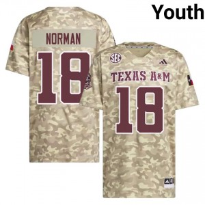 TK Norman Youth Licensed #18 Texas A&M SEC Beige Football High School High-Quality Jersey 70757541